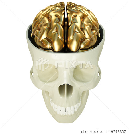 golden brains 9748837