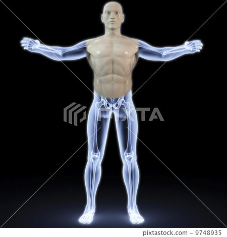 anatomy 9748935