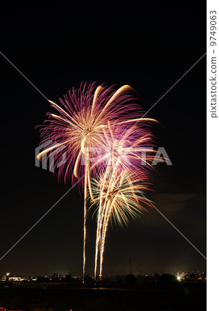 Chofu city fireworks display 2012 purple flowers 9749063