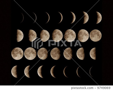 倉徳アーニャ| Moon Tunes ™︎ Astrology 占星術研究家
