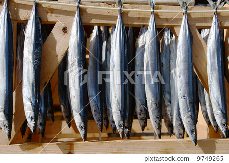 Sanma 9749265
