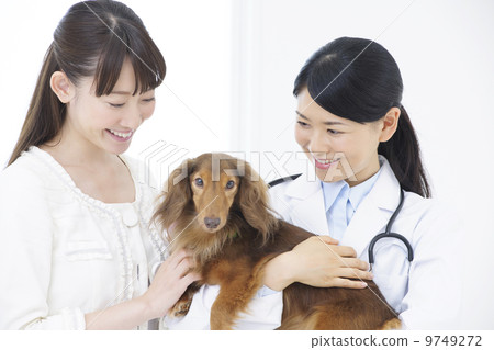 A veterinarian 9749272
