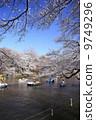盛開的櫻花和井之頭公園 9749296