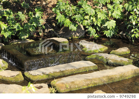 Inokashira Park Water source of the Kanda River 9749298