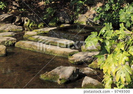 Inokashira Park Water source of the Kanda River Inokashira Park Water source of the Kanda River 9749300