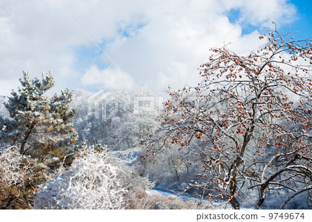 雪山泉 9749674