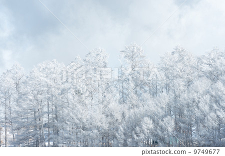 雪山泉 雪山泉 9749677