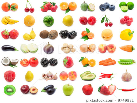 Fruits and Vegetables 9749851