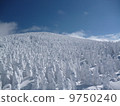 A tree 9750240