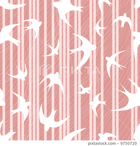 swallow on  striped pink background 9750720