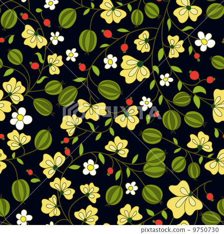 flower and gooseberry berry on a dark background flower and gooseberry berry on a dark background 9750730