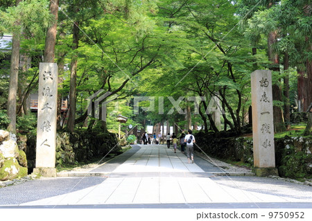 Fukui Prefecture Eiheiji (front entrance) 9750952