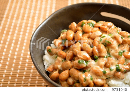 Natto 9751040