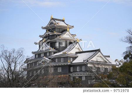 Okayama castle in winter 9751978