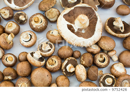 mushrooms 9752426