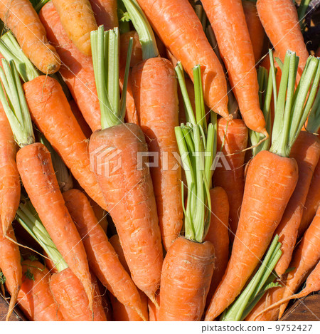 fresh carrots 9752427