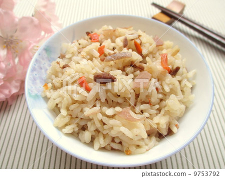 Cooked rice 9753792