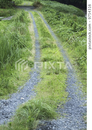 Country road 9754316
