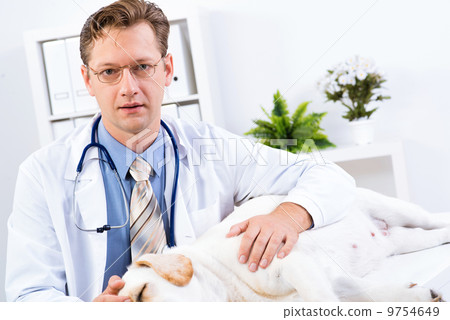 Portrait of male vet 9754649