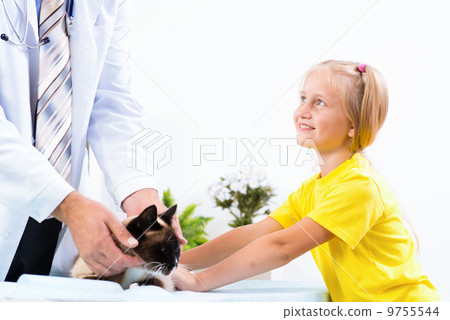 girl brought the cat to the veterinarian girl brought the cat to the veterinarian 9755544