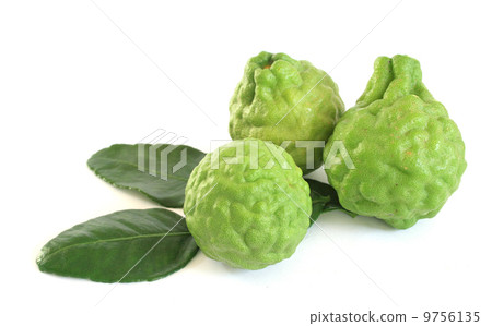 Kaffir limes 9756135