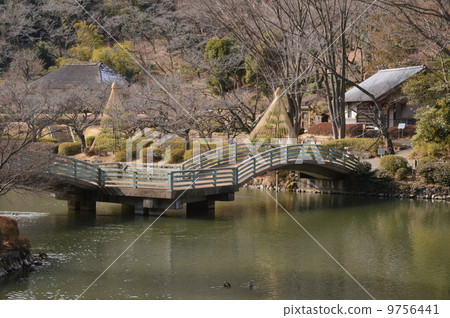 Machida City Yakushoike Park February 9756441