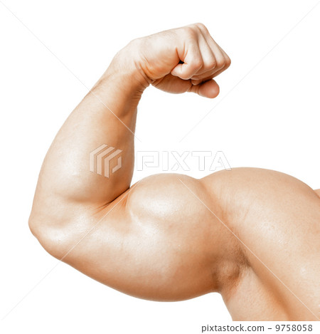muscle biseps muscle biseps 9758058