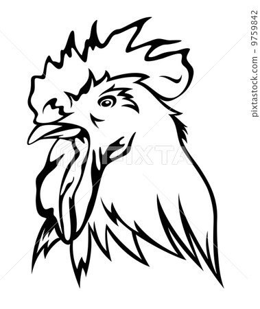 rooster head vector illustration - black and white bird outline 9759842