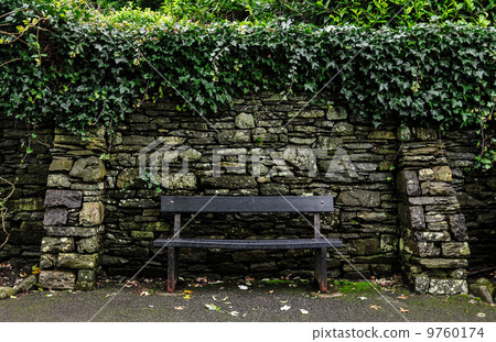 UK Windermere Lakeside bench 9760174