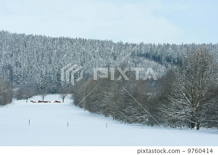 Nice mountain forest in winter Nice mountain forest in winter 9760414