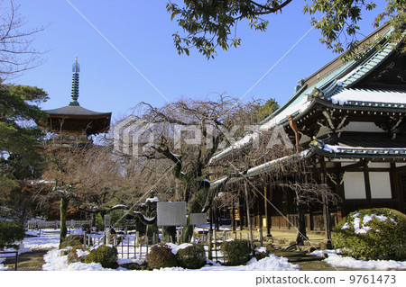 雪中的Sotogawa寺 9761473
