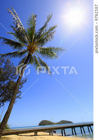 Sunny Palm Cove 9762587