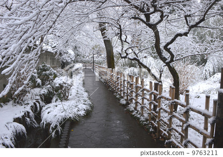 Snow Kokubunji Tokyo Snow Kokubunji Tokyo 9763211