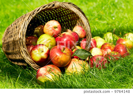 red apples red apples 9764148