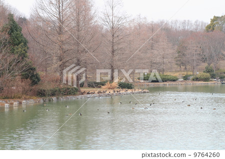 冬季公園 9764260