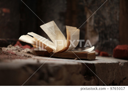 Book 9765017