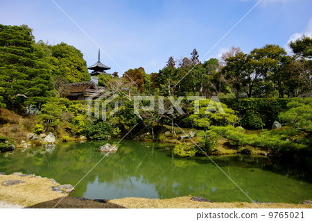 仁和寺 仁和寺 9765021