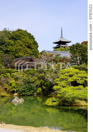 仁和寺 仁和寺 9765022