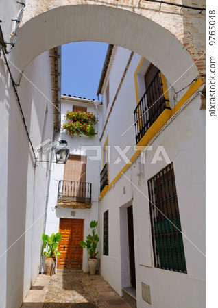 Spain Cordoba Jewish quarter flower path 9765048