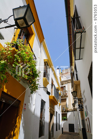 Spain Cordoba Jewish quarter flower path 9765053