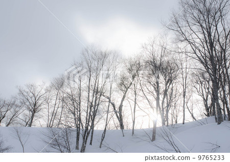 Winter scenery Winter scenery 9765233