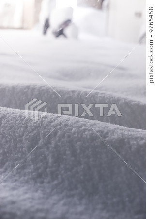 snow          9765458