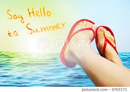 summer holiday summer holiday 9765571