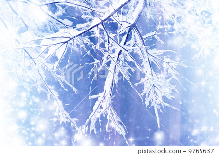 Snow scene Snow scene 9765637