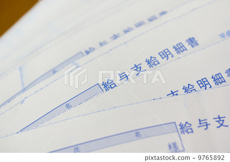 Salary statement 9765892