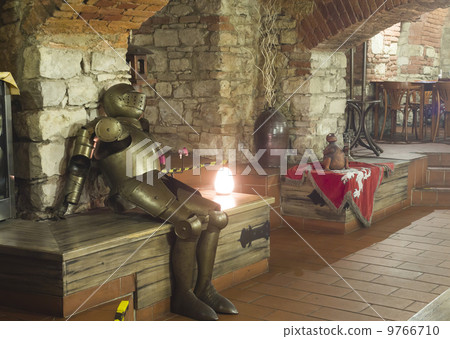 the knight's armor 9766710