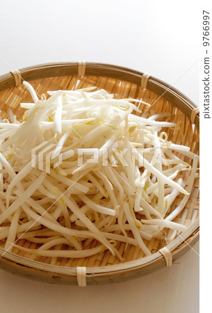 豆芽 9766997