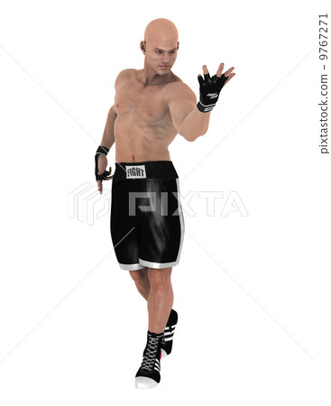 Fighter Fighter 9767271