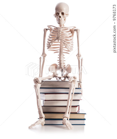 Skeleton with books isolated on white Skeleton with books isolated on white 9768173