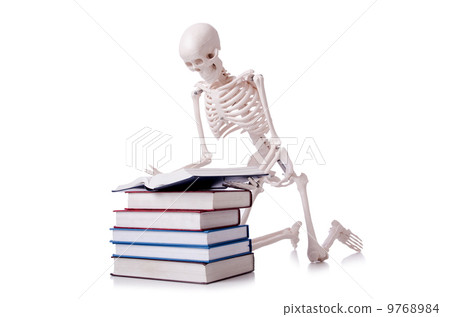 Skeleton reading books on white Skeleton reading books on white 9768984